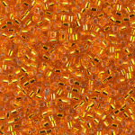 DBM0045